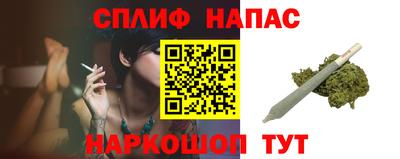 гашик Нальчик