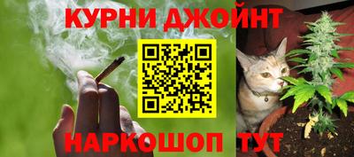 гашик Нальчик