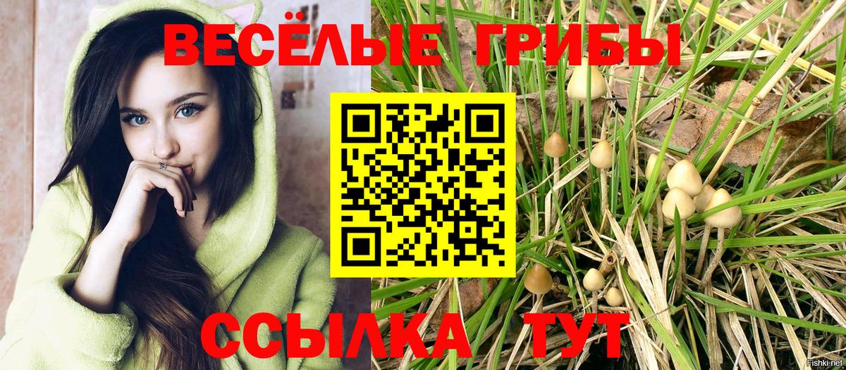 Галлюциногенные грибы Psilocybine cubensis Россошь
