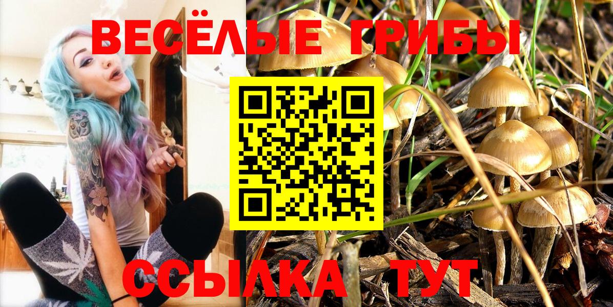 Псилоцибиновые грибы мухоморы  Галлюциногенные грибы прущие грибы  Россошь  Вход с VPN 