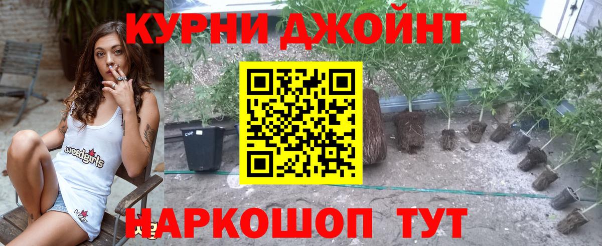 Бошки Шишки White Widow Россошь